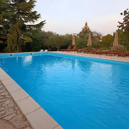 Hotel Holiday מלון