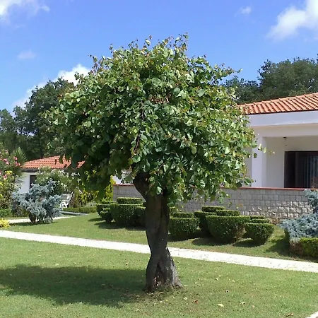 Hotel Hotel Holiday 3*