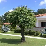 Hotel Hotel Holiday 3*