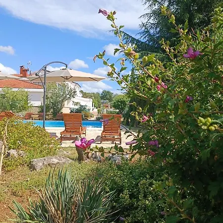 Hotel Holiday Hotel Buici (Istria)