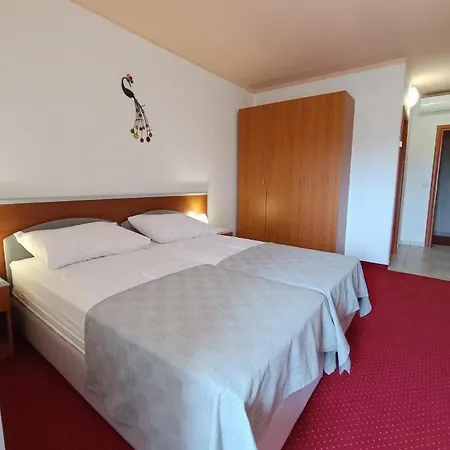 Hotel Holiday 3* Buici