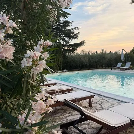 Hotel Hotel Holiday 3*