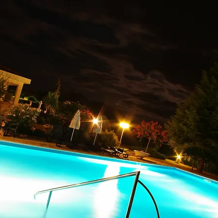 Hotel Holiday 3*
